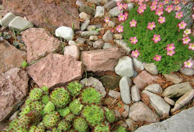 Hagaborg Bed & Breakfast