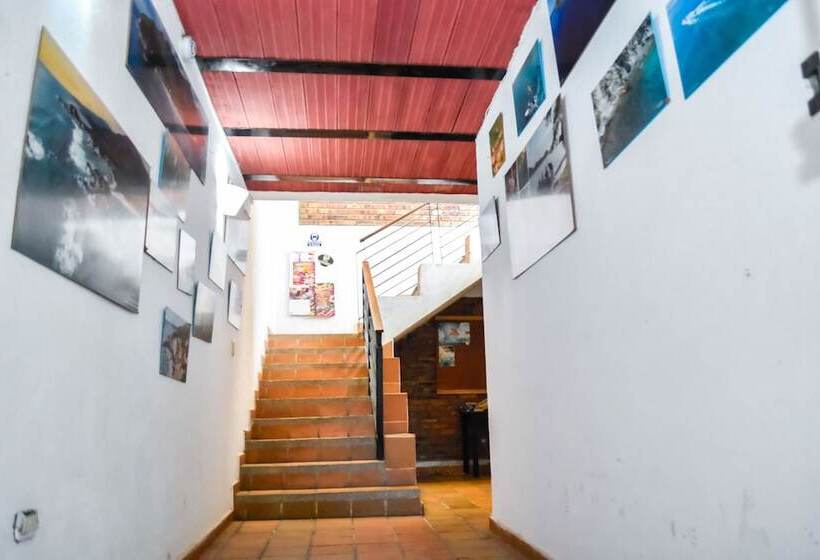 هتل Aluna Hostel B&b