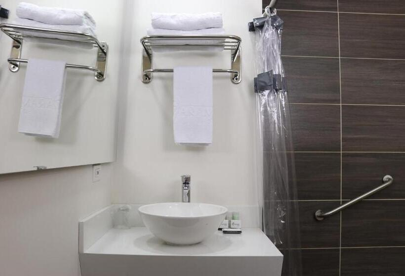 בית מלון כפרי Arame