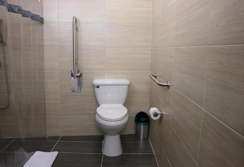 בית מלון כפרי Arame