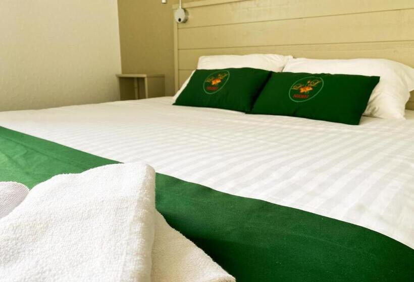 Отель Colette Hôtel