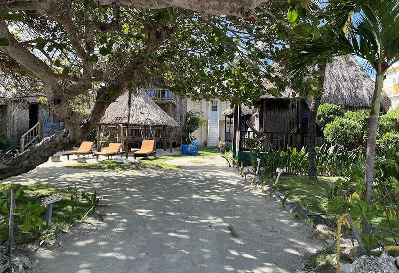 בית מלון כפרי Del Rio