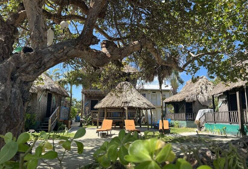 בית מלון כפרי Del Rio