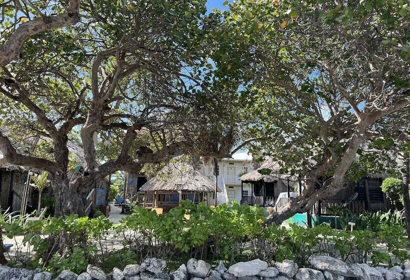 בית מלון כפרי Del Rio