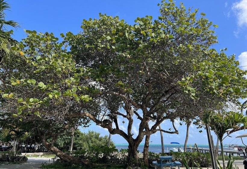 בית מלון כפרי Del Rio