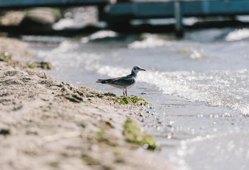 Отель Insel Der Sinne