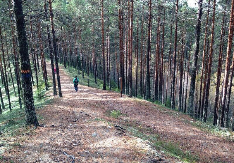 酒店 L Vindelngallerian