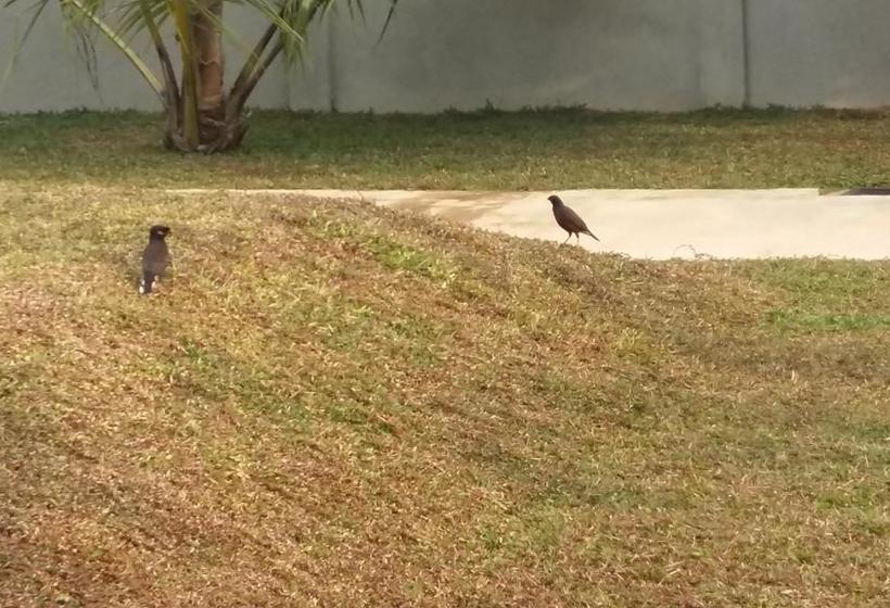 Отель Sea Lagoon Beach