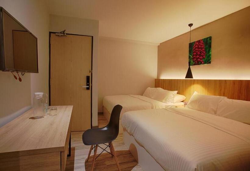 בית מלון כפרי The Marion