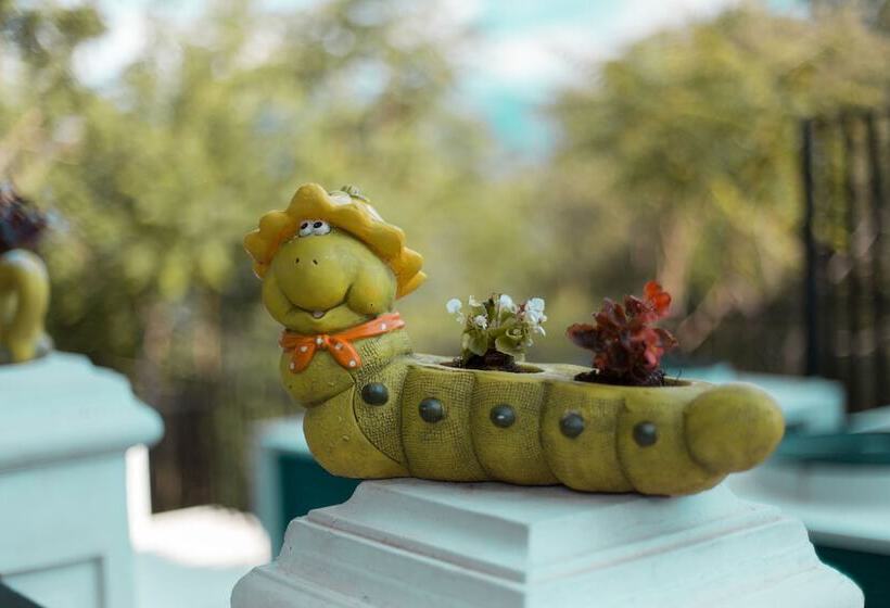 בית מלון כפרי Turizem Shkelzeni