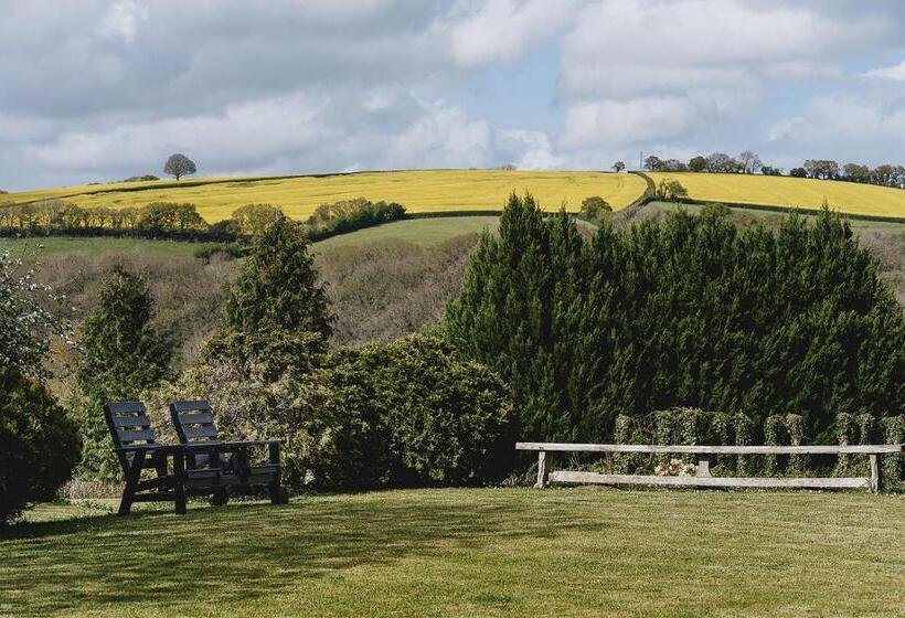 בית מלון כפרי Weeke Barton