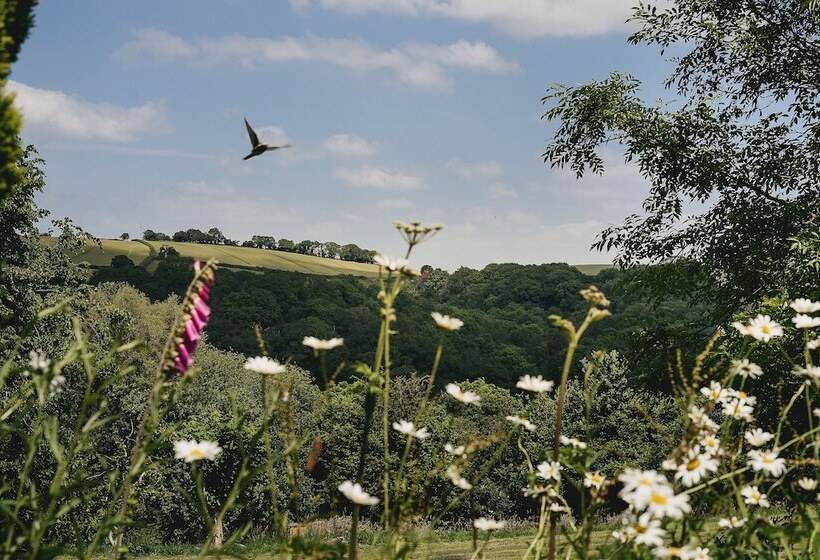 בית מלון כפרי Weeke Barton