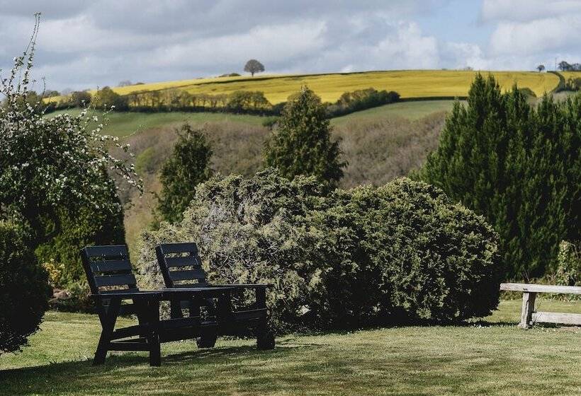 בית מלון כפרי Weeke Barton