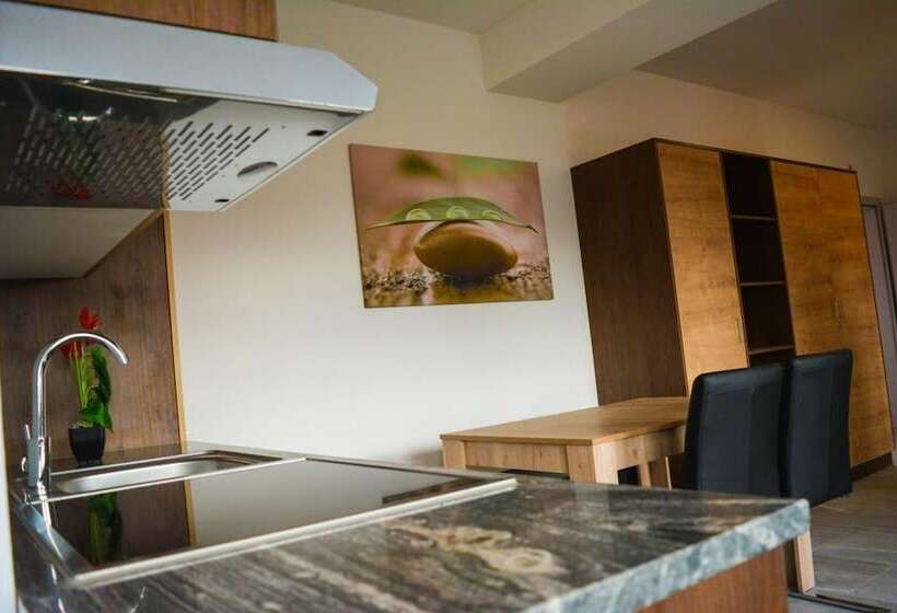 فندق Wels Inn