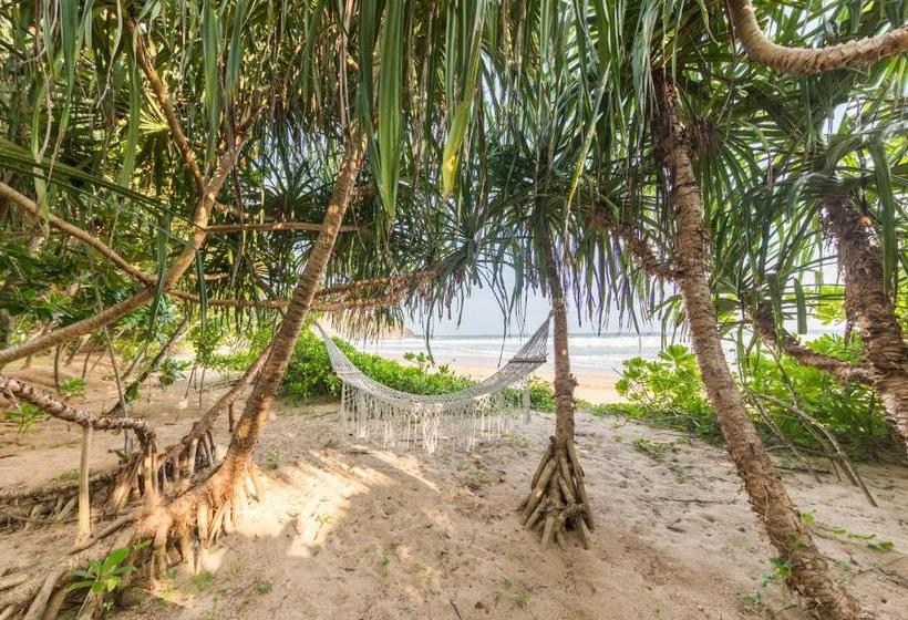 Отель Zephyr Talalla