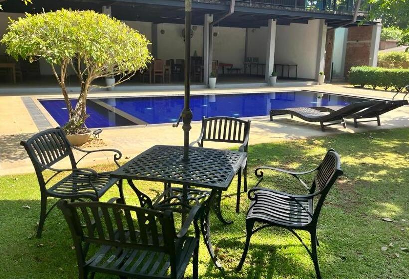 汽车旅馆 Honey Tree Polonnaruwa