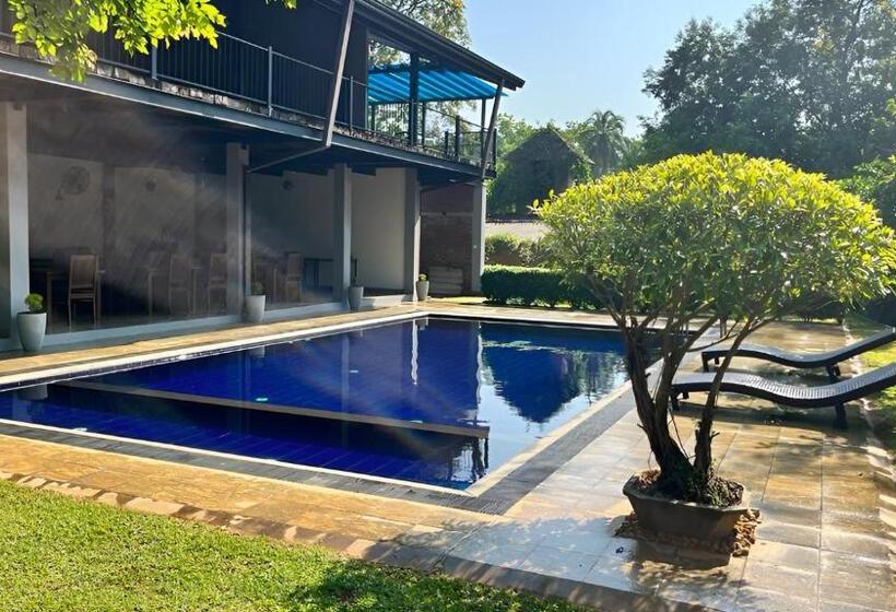 汽车旅馆 Honey Tree Polonnaruwa