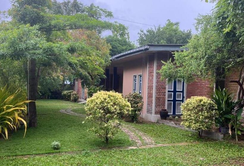 汽车旅馆 Honey Tree Polonnaruwa