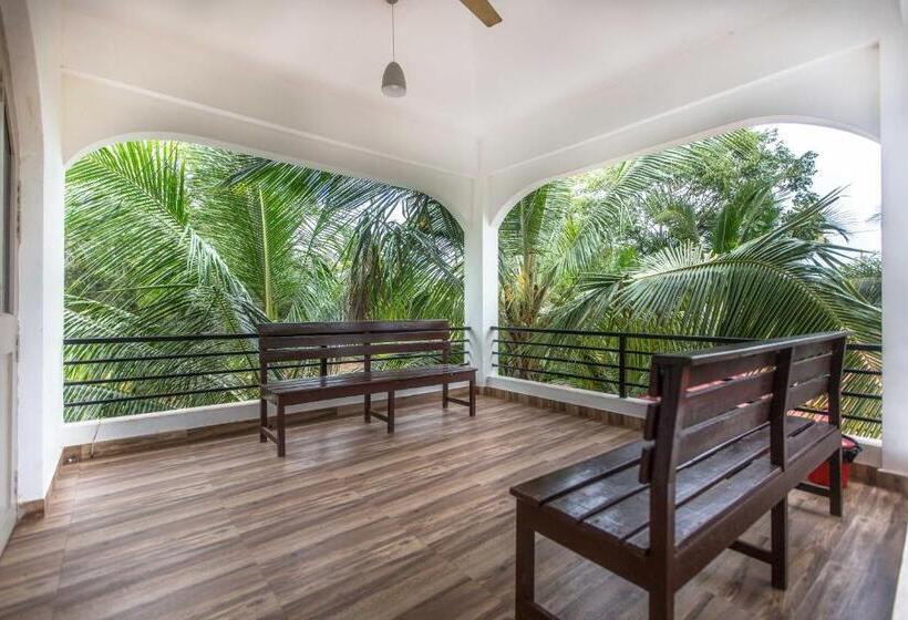 Moustache Goa Cowork Hostel