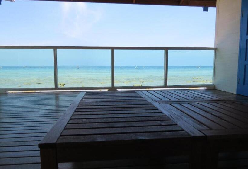 אתר נופש X Rector Finest