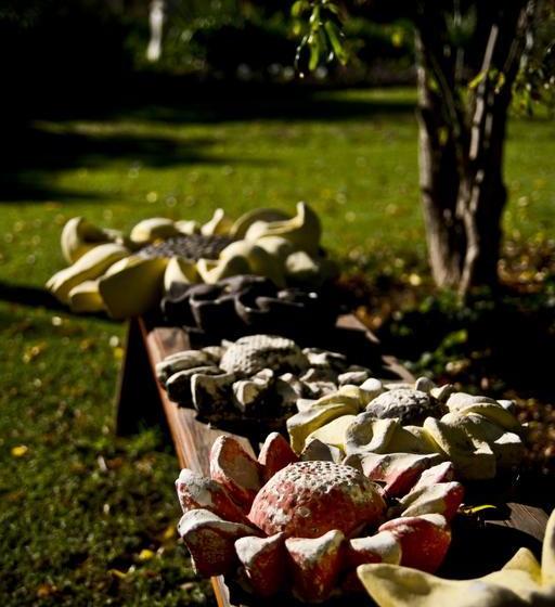 مبيت وإفطار Aasvoelkrans Guest Farm