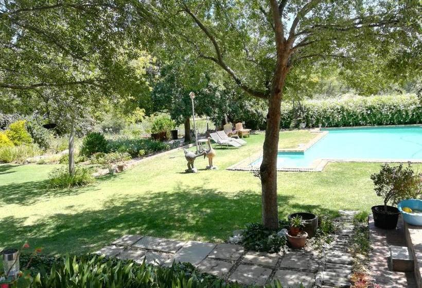 مبيت وإفطار Aasvoelkrans Guest Farm