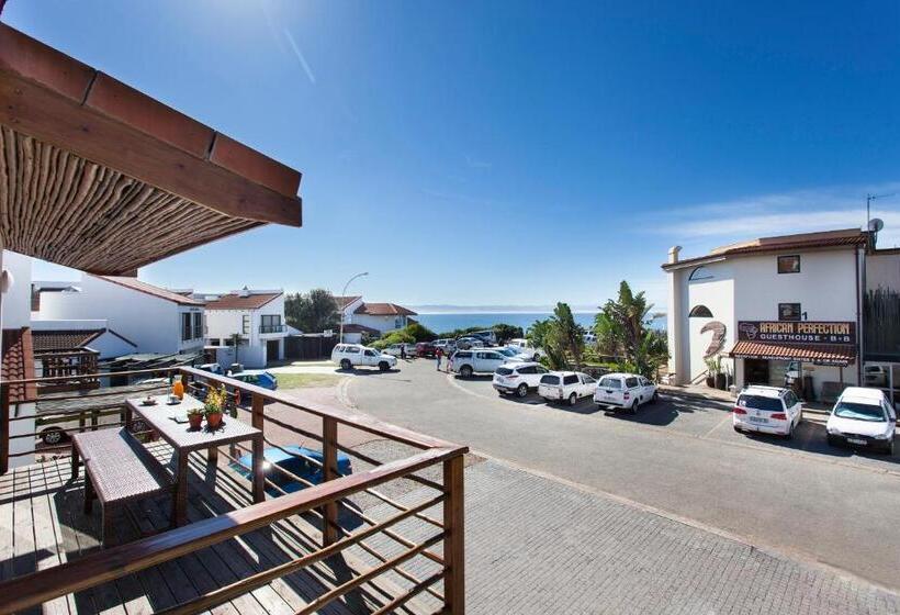 هاستل Aloe Again