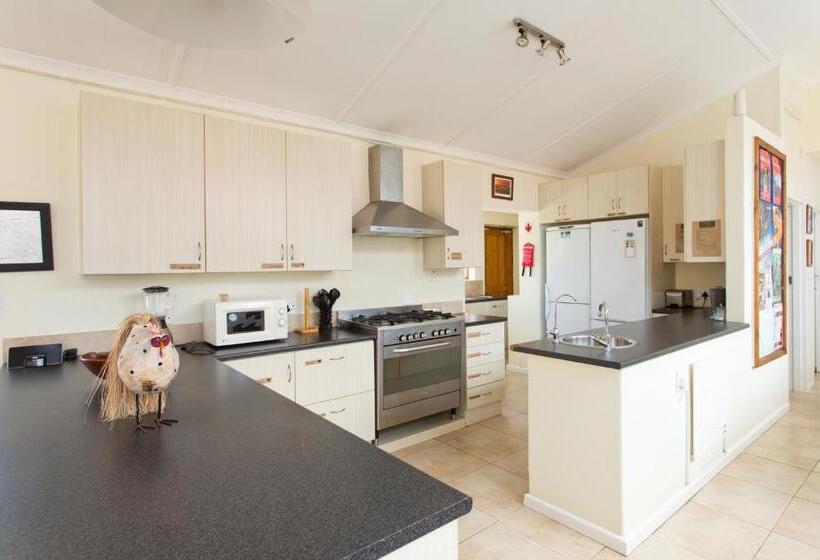 هاستل Aloe Again