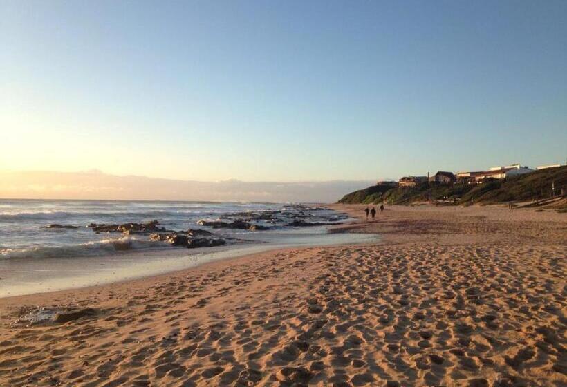 هاستل Aloe Again