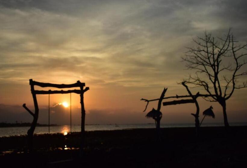 הוסטל The Barari Villas