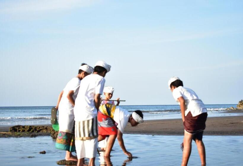 הוסטל The Barari Villas