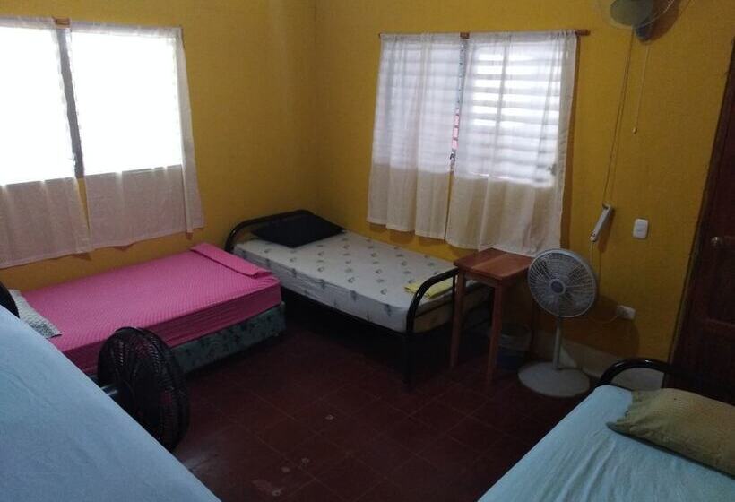 ベッドアンドブレックファースト Hostel Papagayo