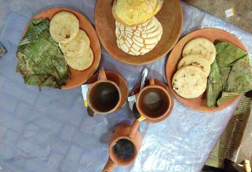تختخواب و صبحانه Posada Jardin Huasteca Xilitla