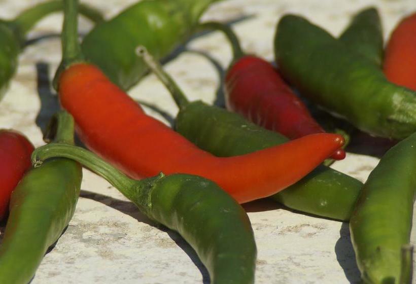 住宿加早餐  Ta  Konak