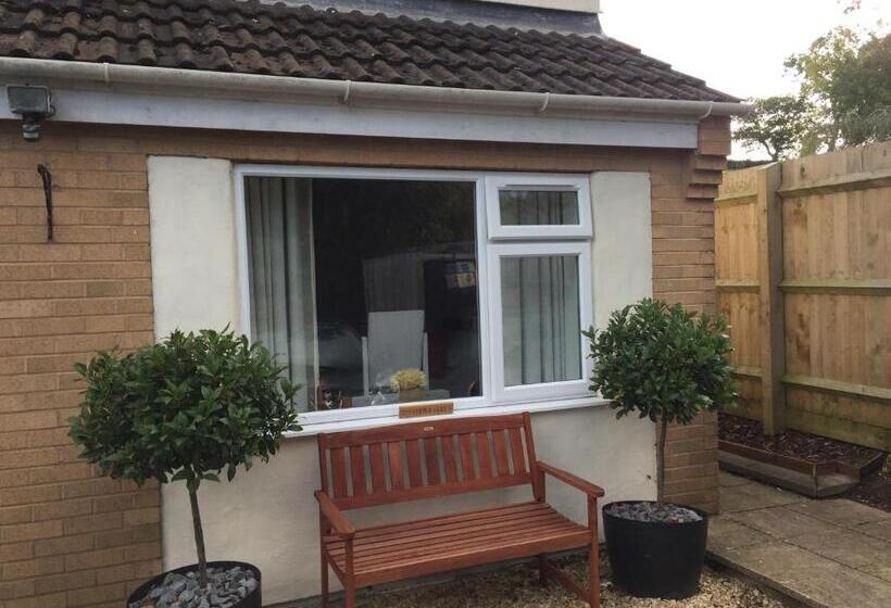 민박 The Copper Coin