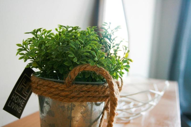 צימר Turtle Rooms