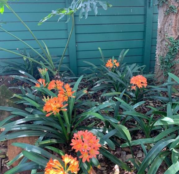 مبيت وإفطار Villa Grande Lodge