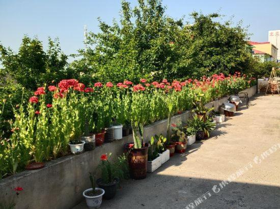 فندق 哈尔滨机场东方红运宾馆