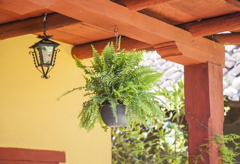 בית מלון כפרי Adobe & Teja