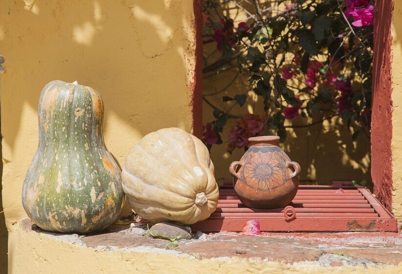 בית מלון כפרי Adobe & Teja