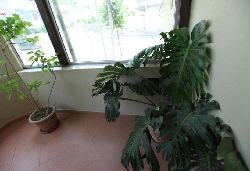 בית מלון כפרי Colosseo