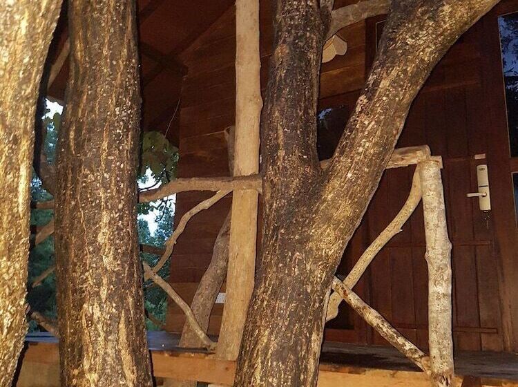 Отель Eighth Wonder Resort