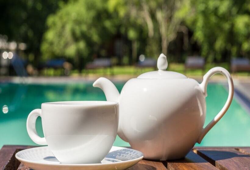 Отель Eighth Wonder Resort