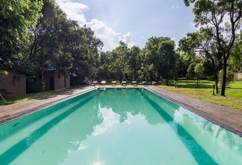 Отель Eighth Wonder Resort