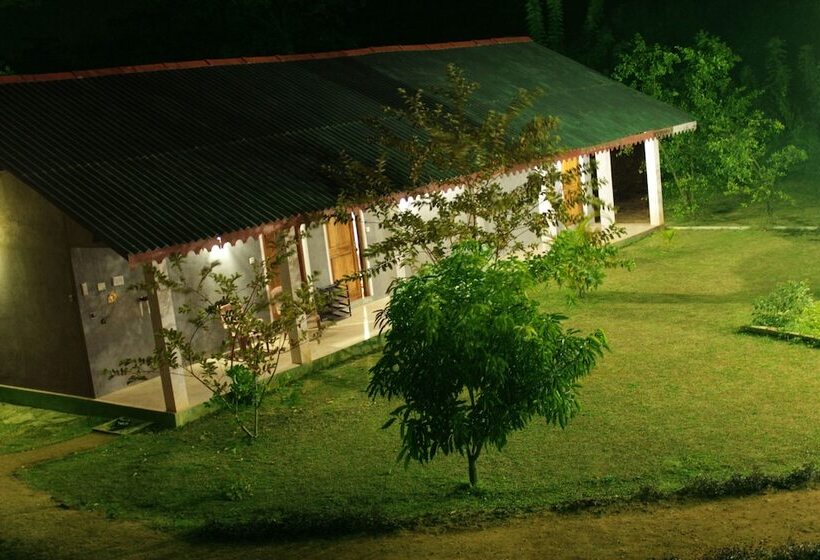 Отель Green Hut Nature Resort