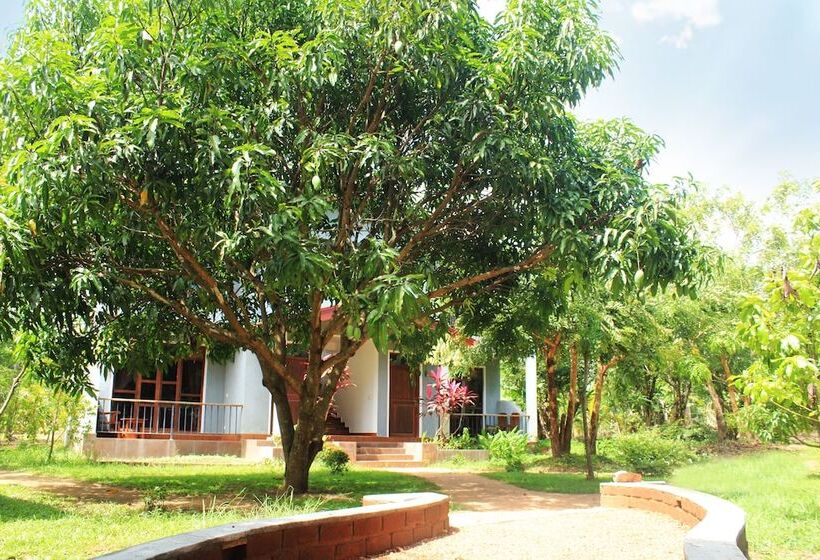 Отель Green Hut Nature Resort