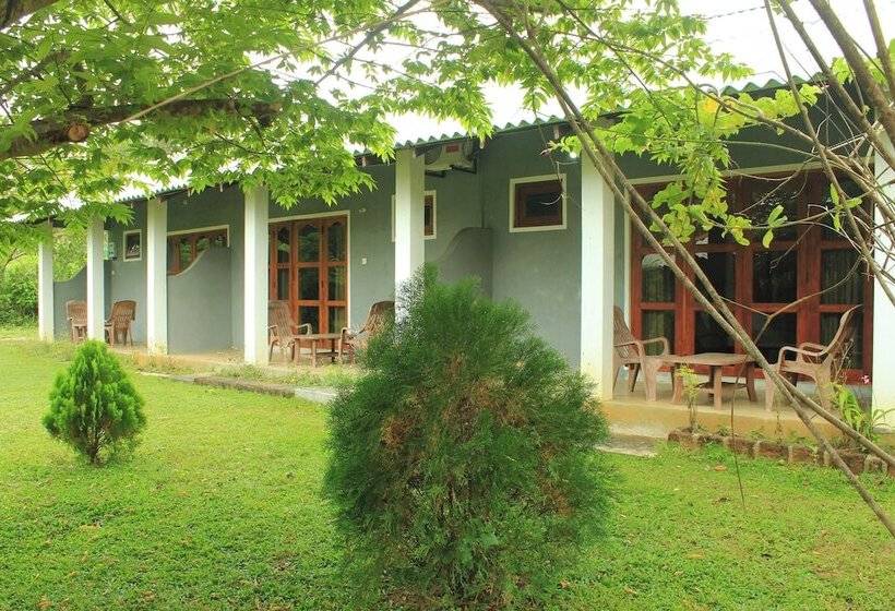 Отель Green Hut Nature Resort