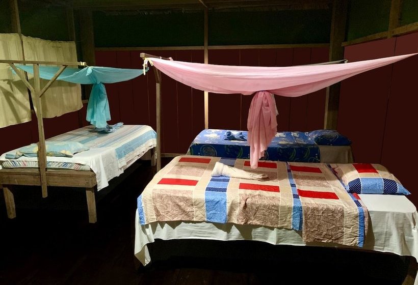 Отель Jg Expeditions Tours