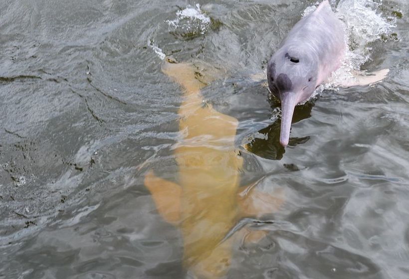 Отель Jg Expeditions Tours