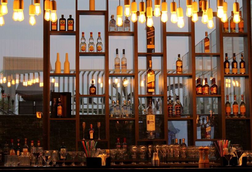 ホテル Radisson Lucknow City Center